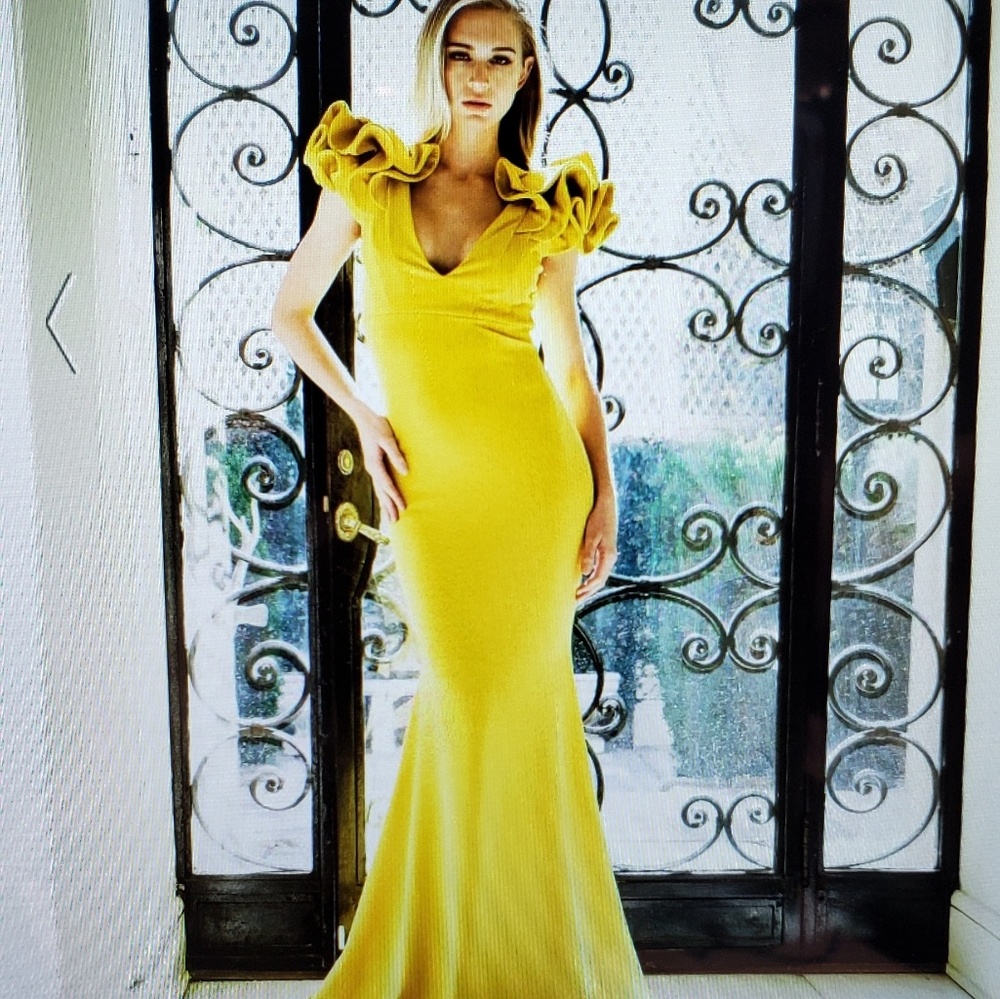 Dresses - Picture 4 of 4